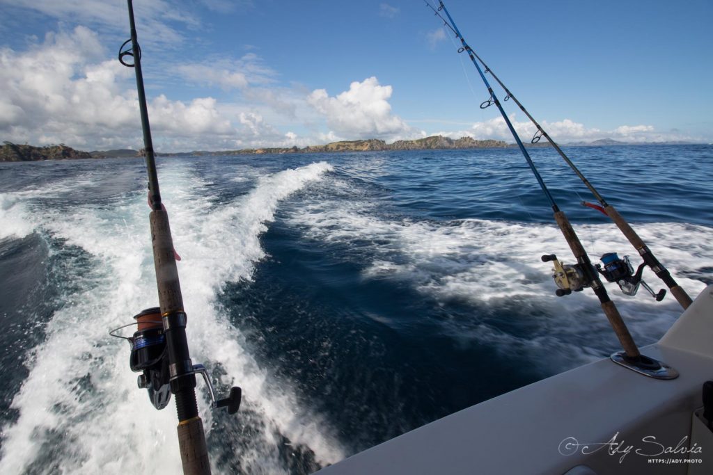 Baie des Îles (Nouvelle-Zélande)