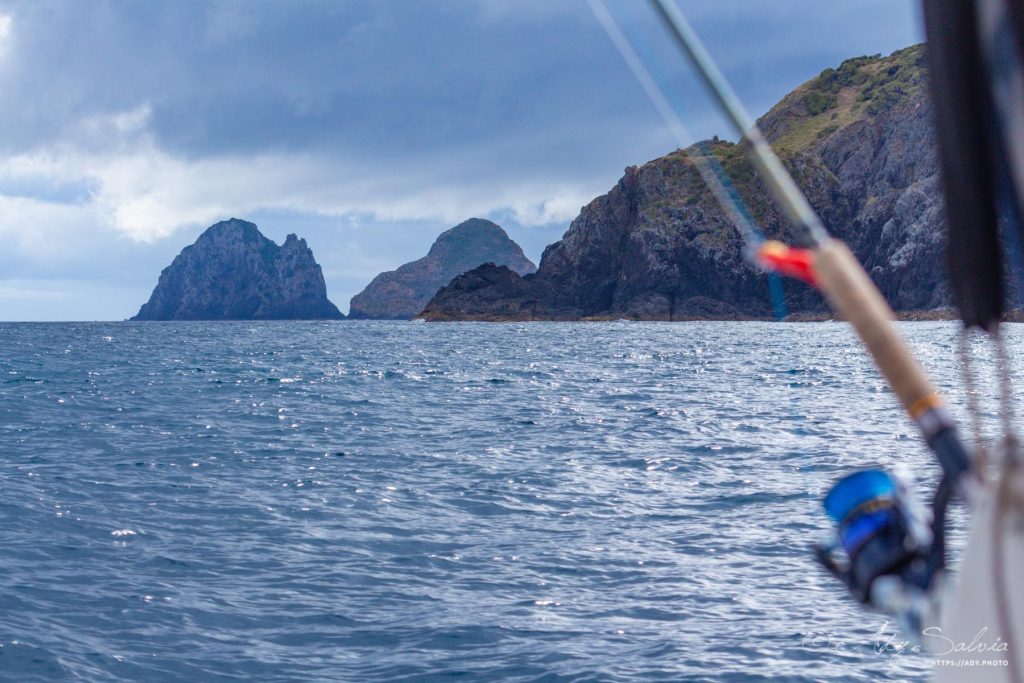 Baie des Îles (Nouvelle-Zélande)