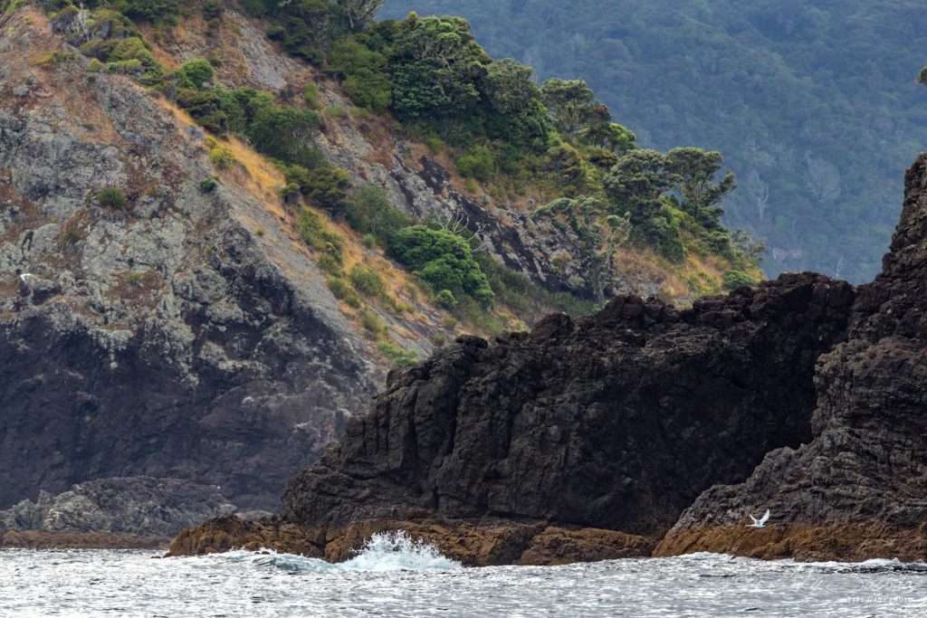 Baie des Îles (Nouvelle-Zélande)