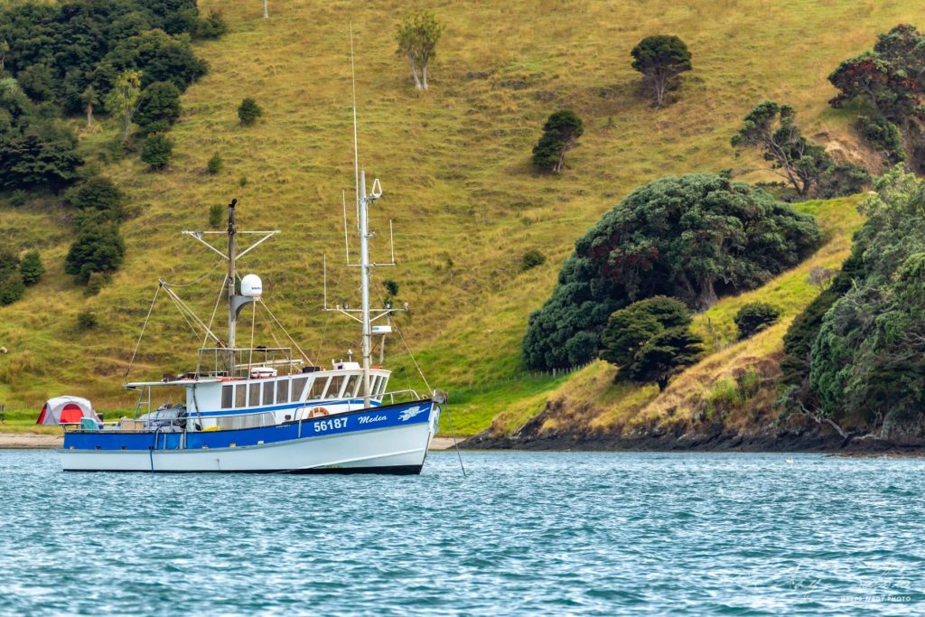 Baie des Îles (Nouvelle-Zélande)