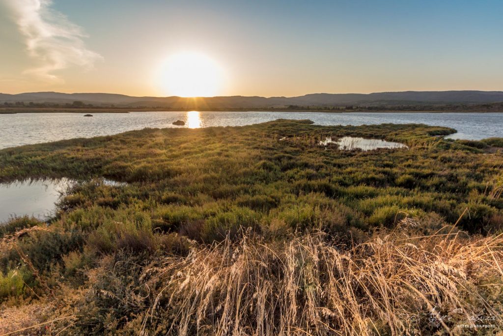 Coucher du soleil à l'étang de Bages-Peyriac (11100)