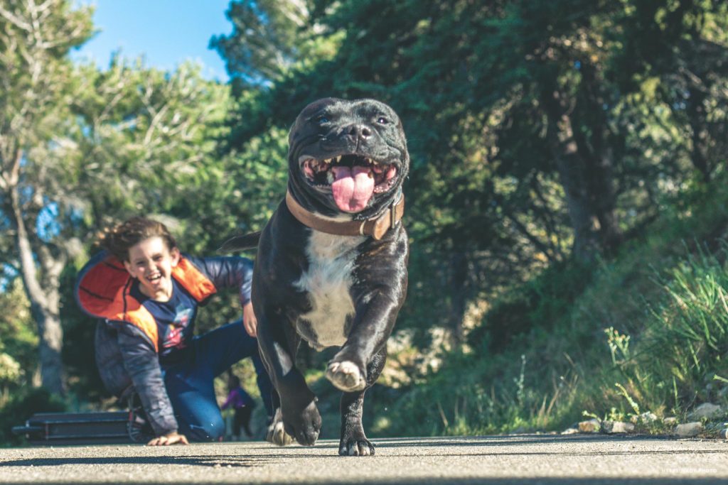 Deux secondes avant choc frontal !