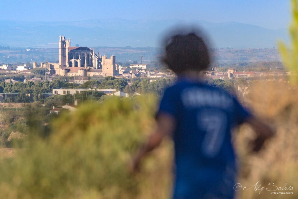 Vue de la cathédrale de Narbonne depuis le hameau les Pesquis (Bages - 11100)