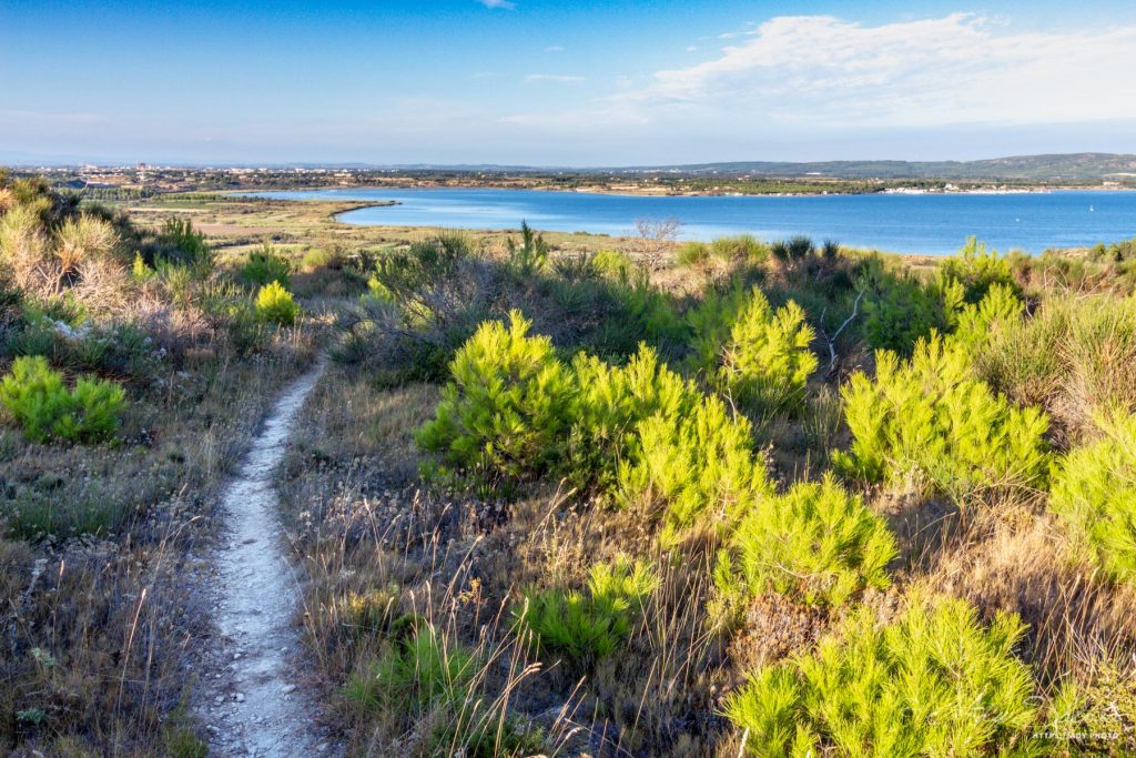 Vue d'une partie de Narbonne et l'Étang de Bages-Sigean (11100)
